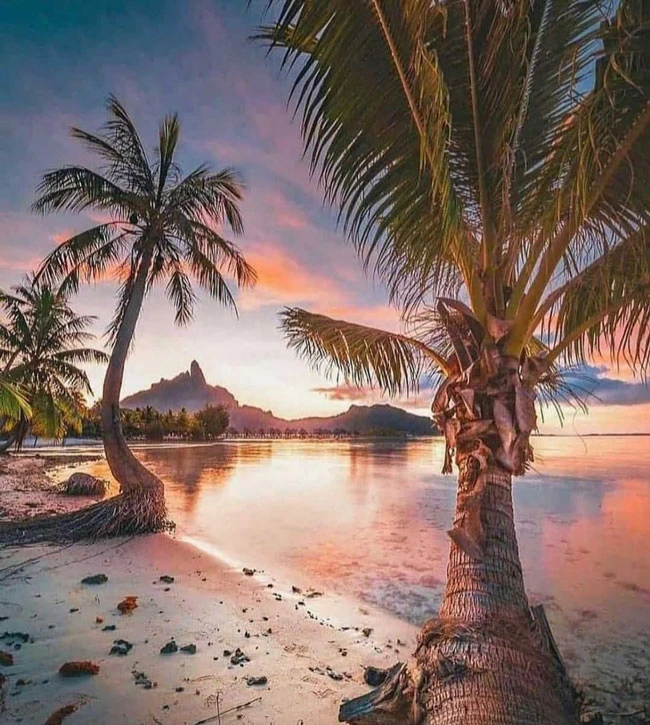 Beauty of Bora Bora Island